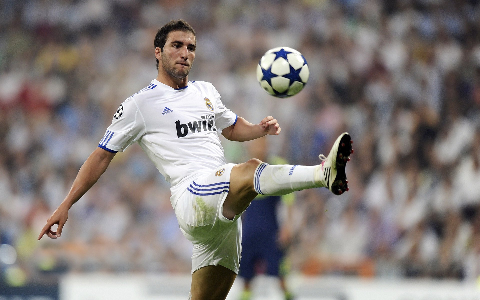 kaiyun电竞-篮球职业联赛竞争日趋激烈，篮球职业联赛竞争日趋激烈的原因